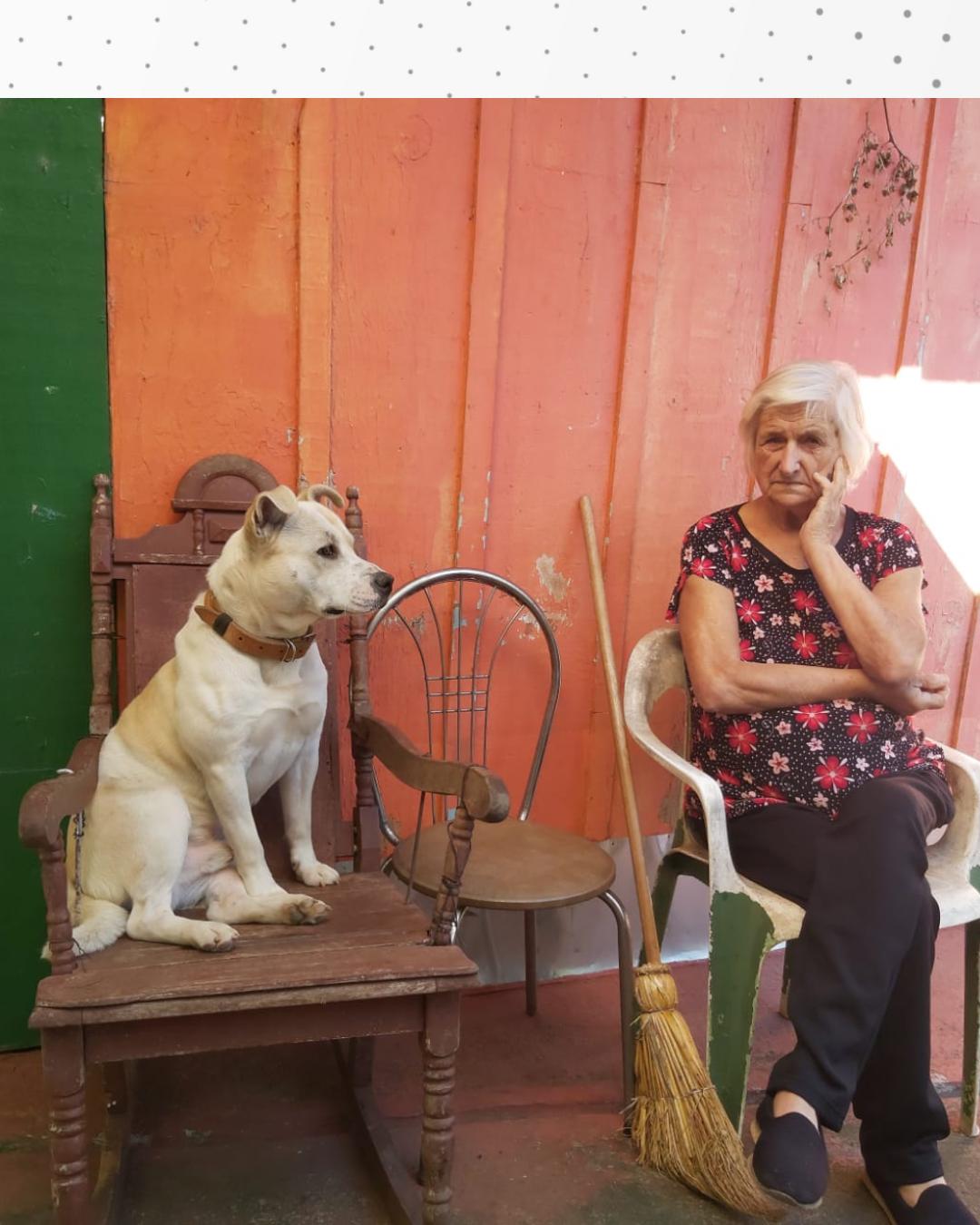 Tobi, companheirinho da Dona Anastacia, desaparece e família pede ajuda para encontrá-lo