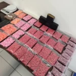 Ação da GMA apreende milhares de porções de drogas