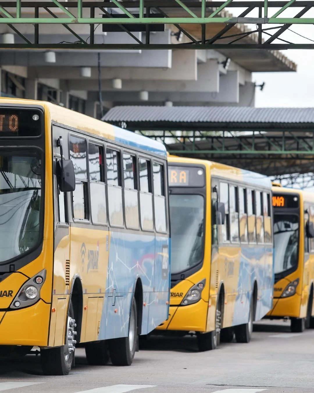 Araucarienses terão três dias de transporte gratuito por conta da Festa do Trabalhador