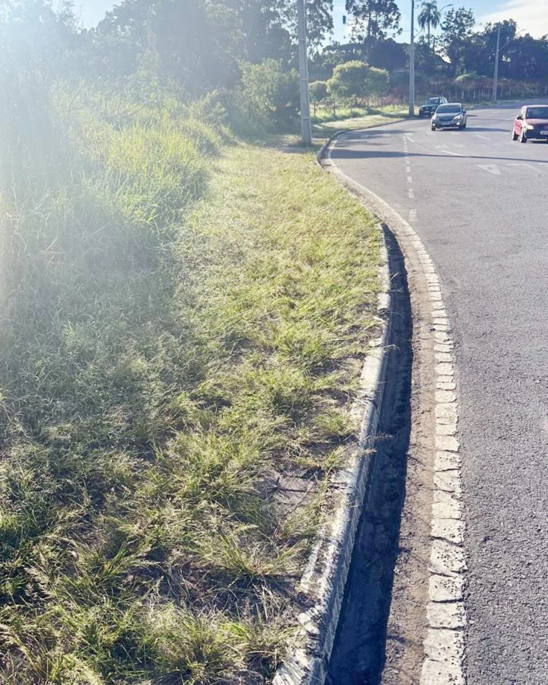 Comunidade pede serviço de roçada em vias que dão acesso a escolas
