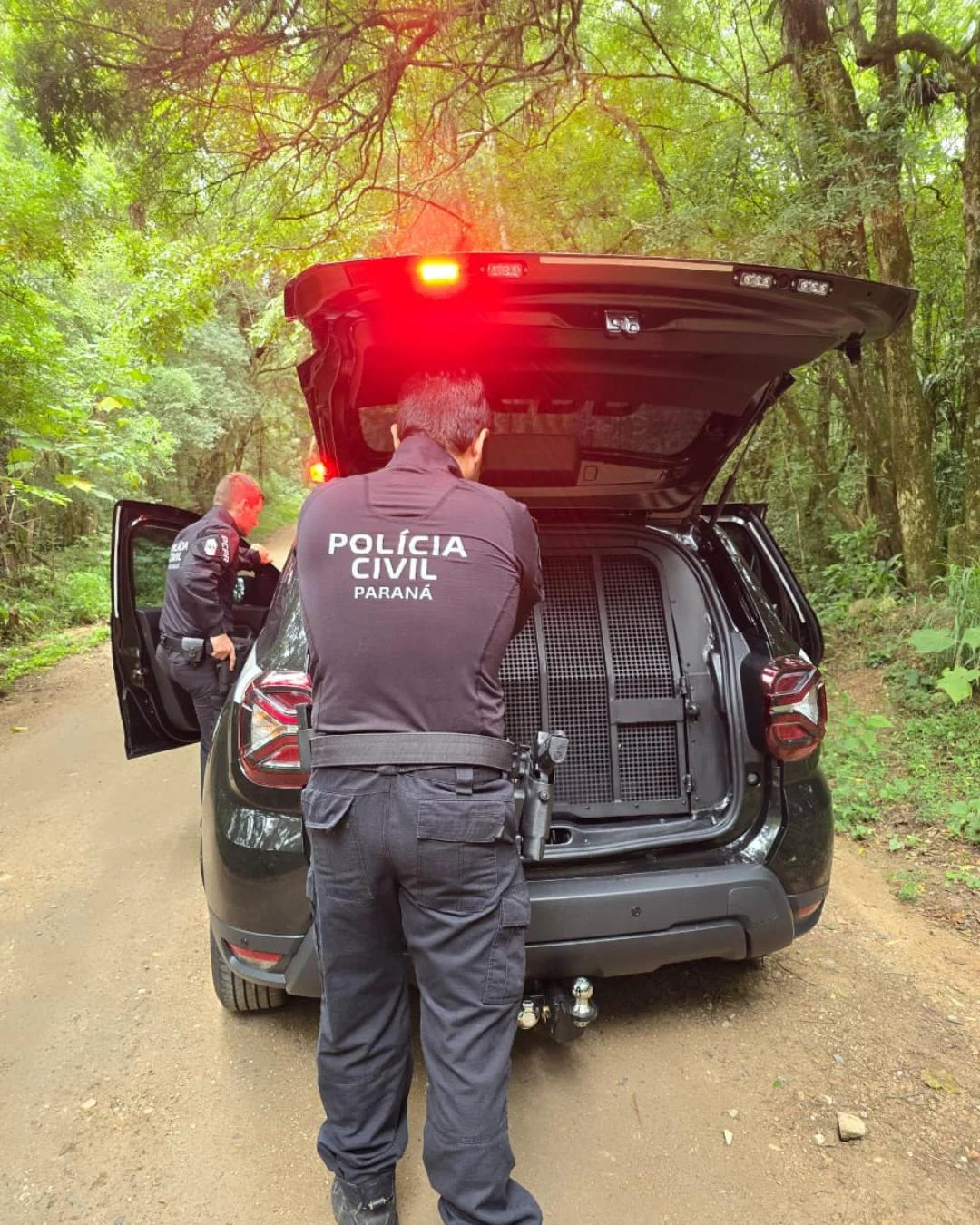 DM Araucária e Polícia Civil de SC prendem homem que teria abusado da própria filha