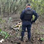 GM age rápido e apreende adolescente suspeito de matar jovem em matagal na Rua Maranhão