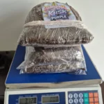 GM apreende 3 KG de maconha que iriam “descê” pro litoral