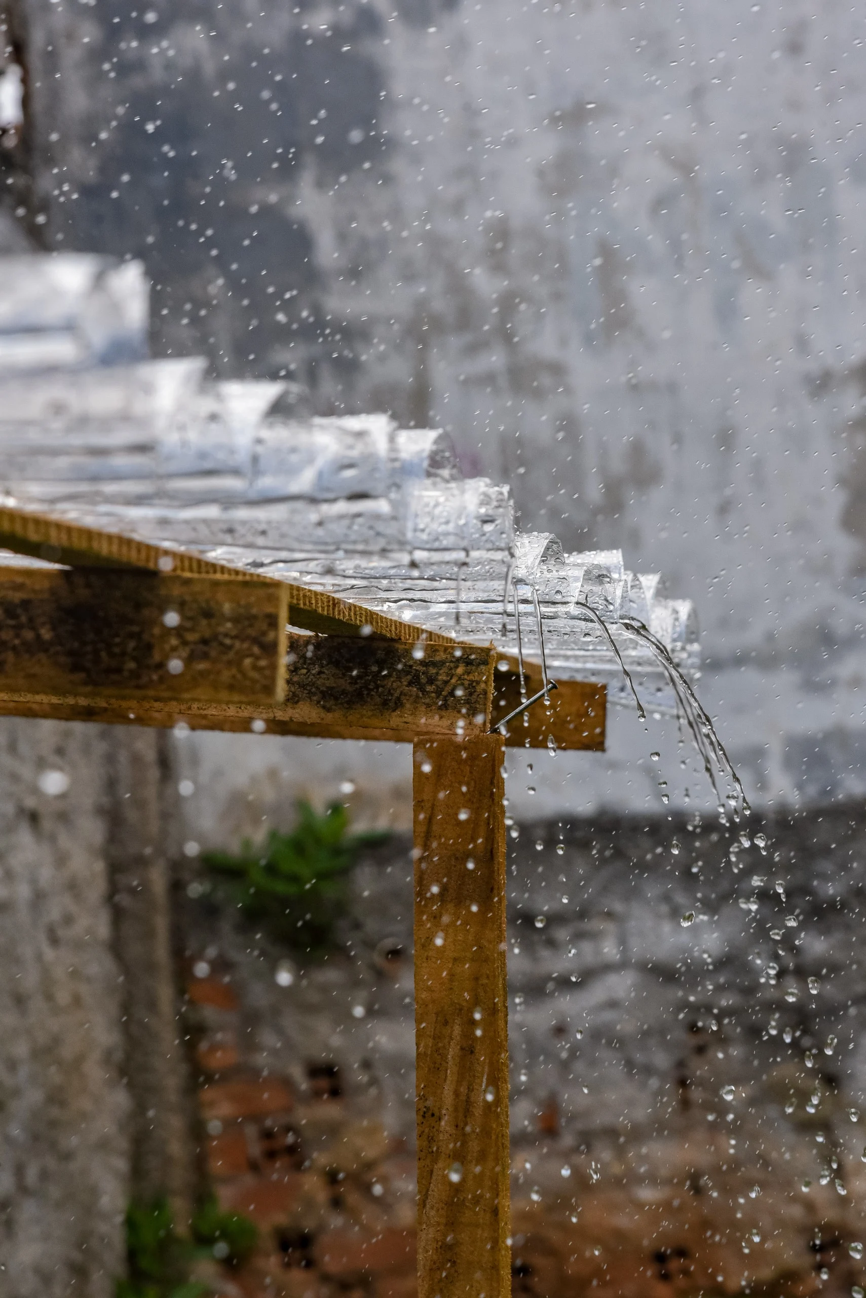 Projeto Plástico com Futuro instala coletor de garrafas PET em formato de capivara no Parque Cachoeira