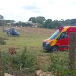 No Tietê, galho de pinheiro cai na cabeça de trabalhador, que é socorrido de helicóptero