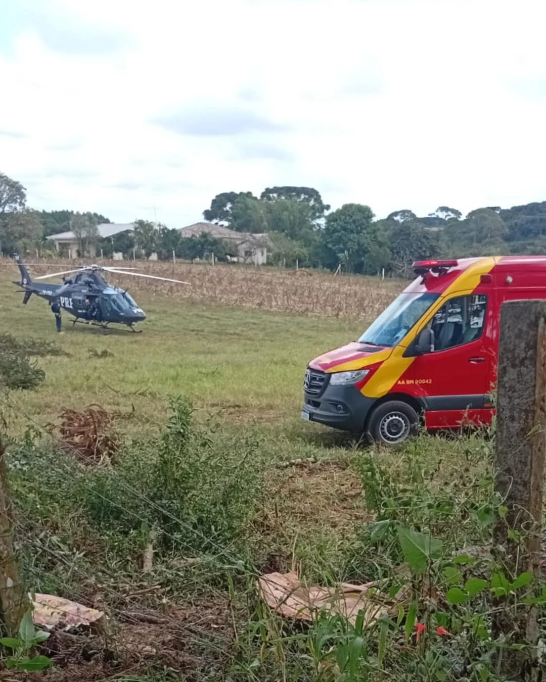 No Tietê, galho de pinheiro cai na cabeça de trabalhador, que é socorrido de helicóptero