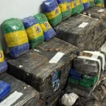 PRF apreende mais de 1 tonelada de maconha durante fiscalização na Unidade Operacional de Araucária