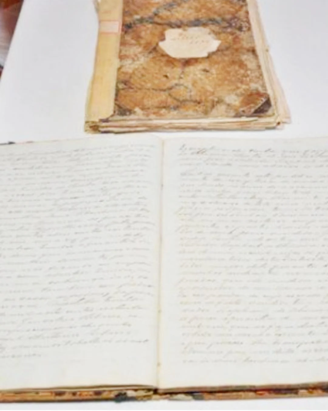 Professor Rafael de Jesus: O Crime Mais Grave Contra a Humanidade