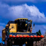 Rascunho automático