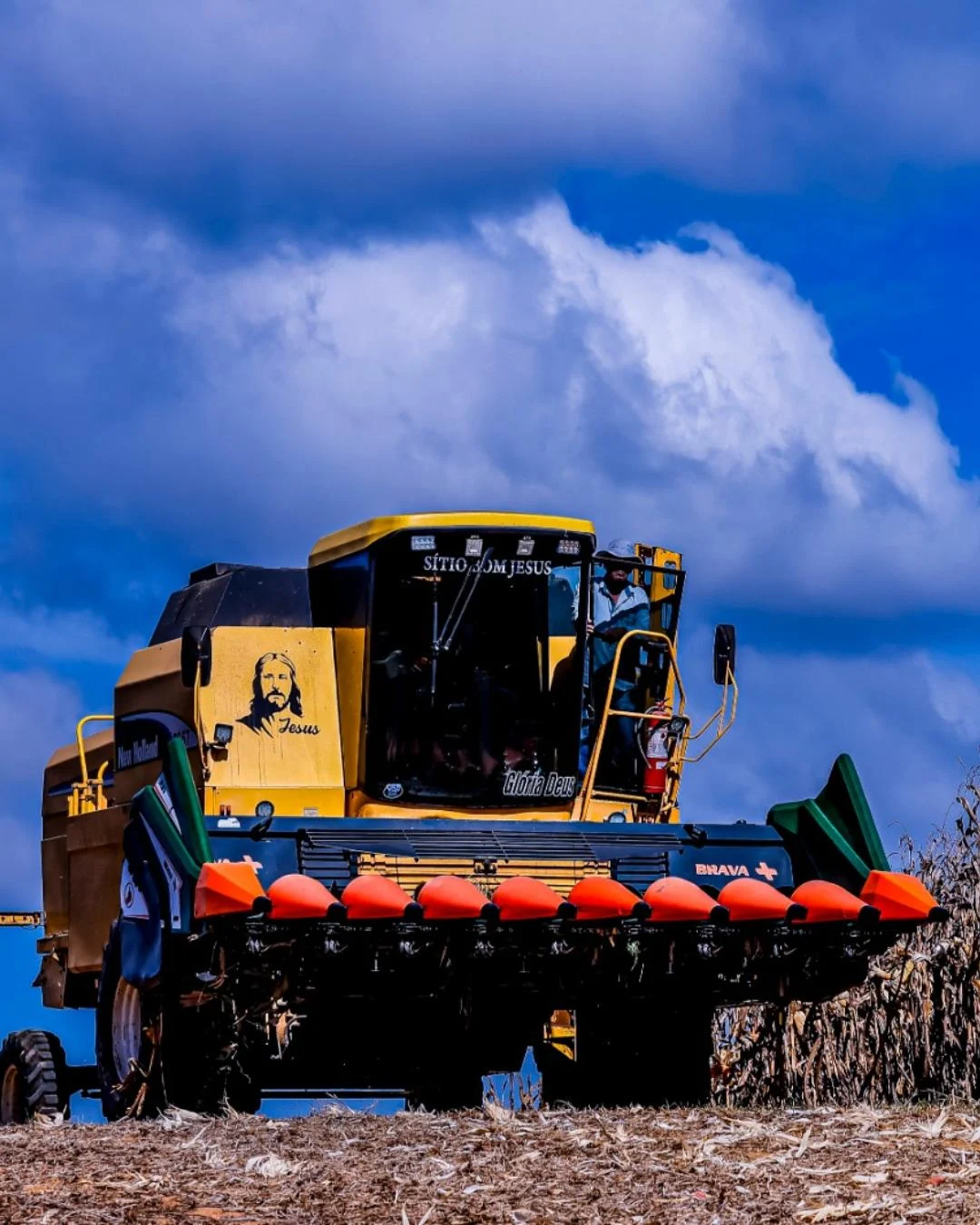 Rascunho automático