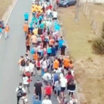 Rotary Club de Araucária promove a 11ª Caminhada e Almoço do Companheirismo
