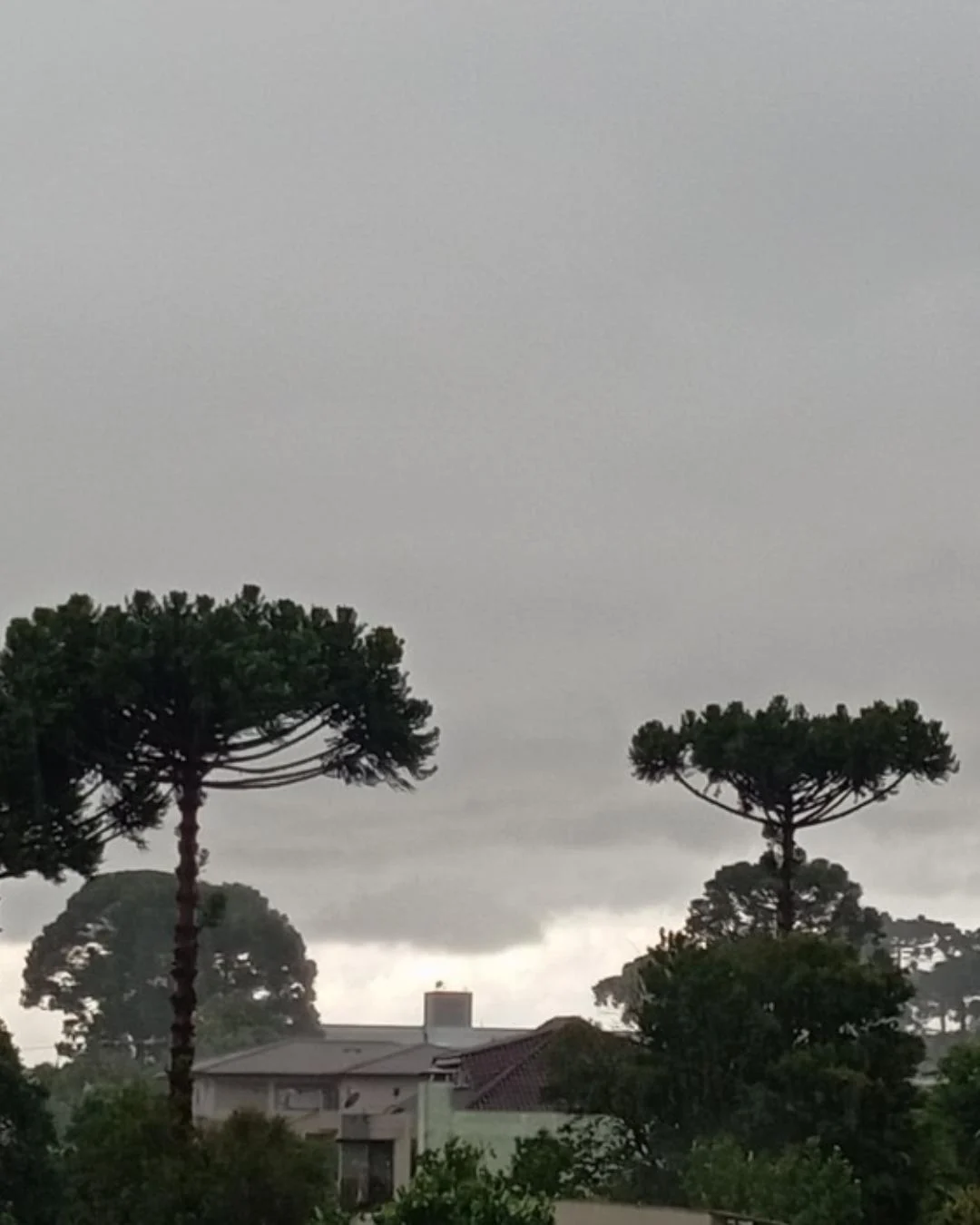 Simepar prevê chuva apenas para esta segunda-feira (13)