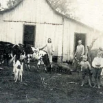 Terezinha Poly: A Chácara da Família Stygar