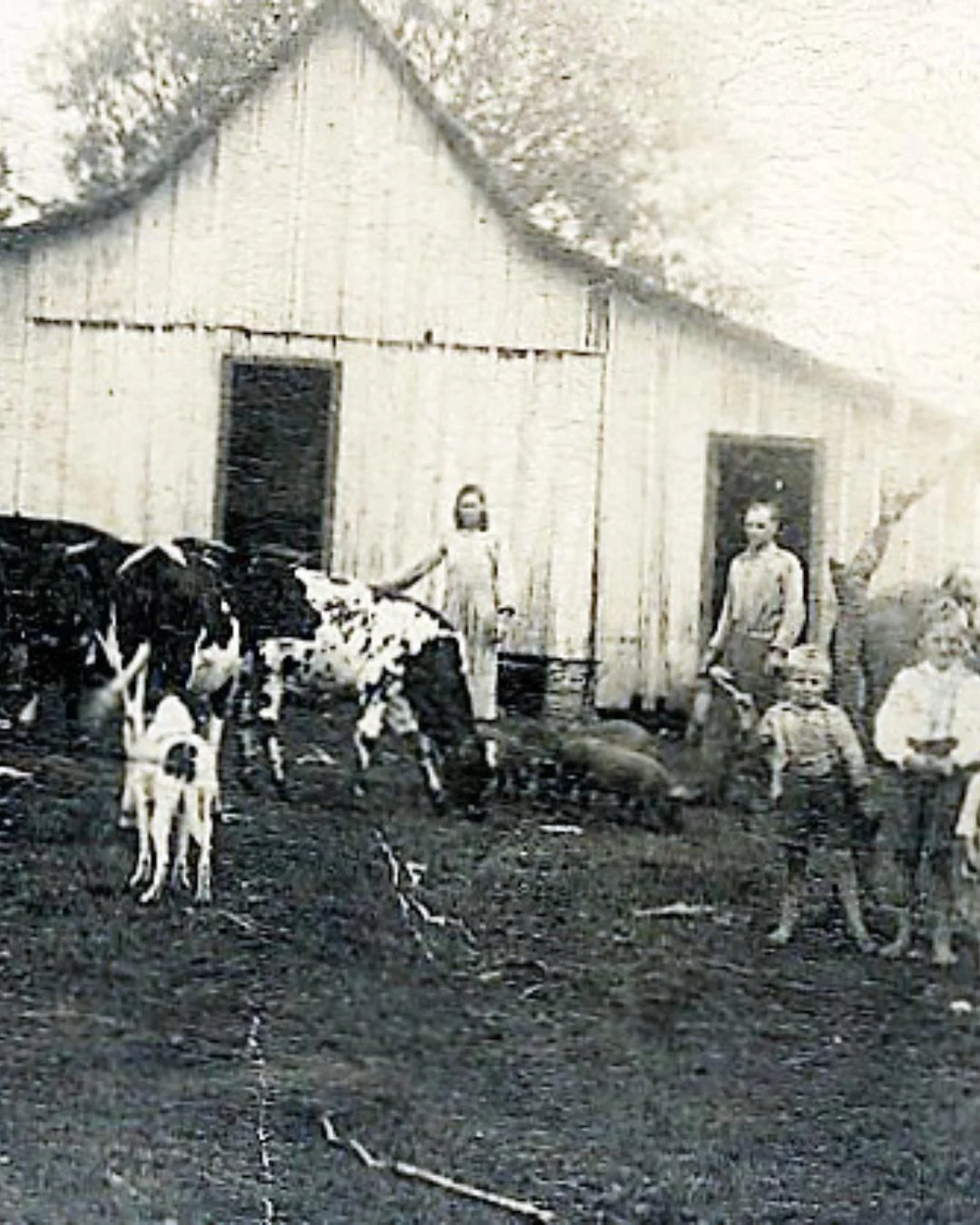 Terezinha Poly: A Chácara da Família Stygar