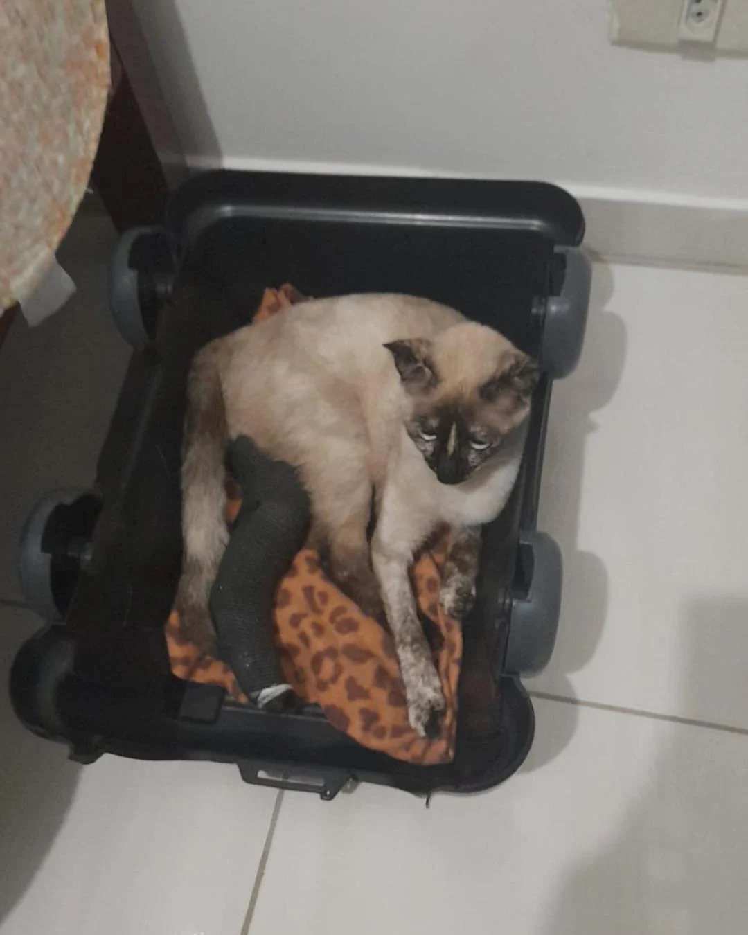 Tutora organiza vakinha para custear despesas de saúde