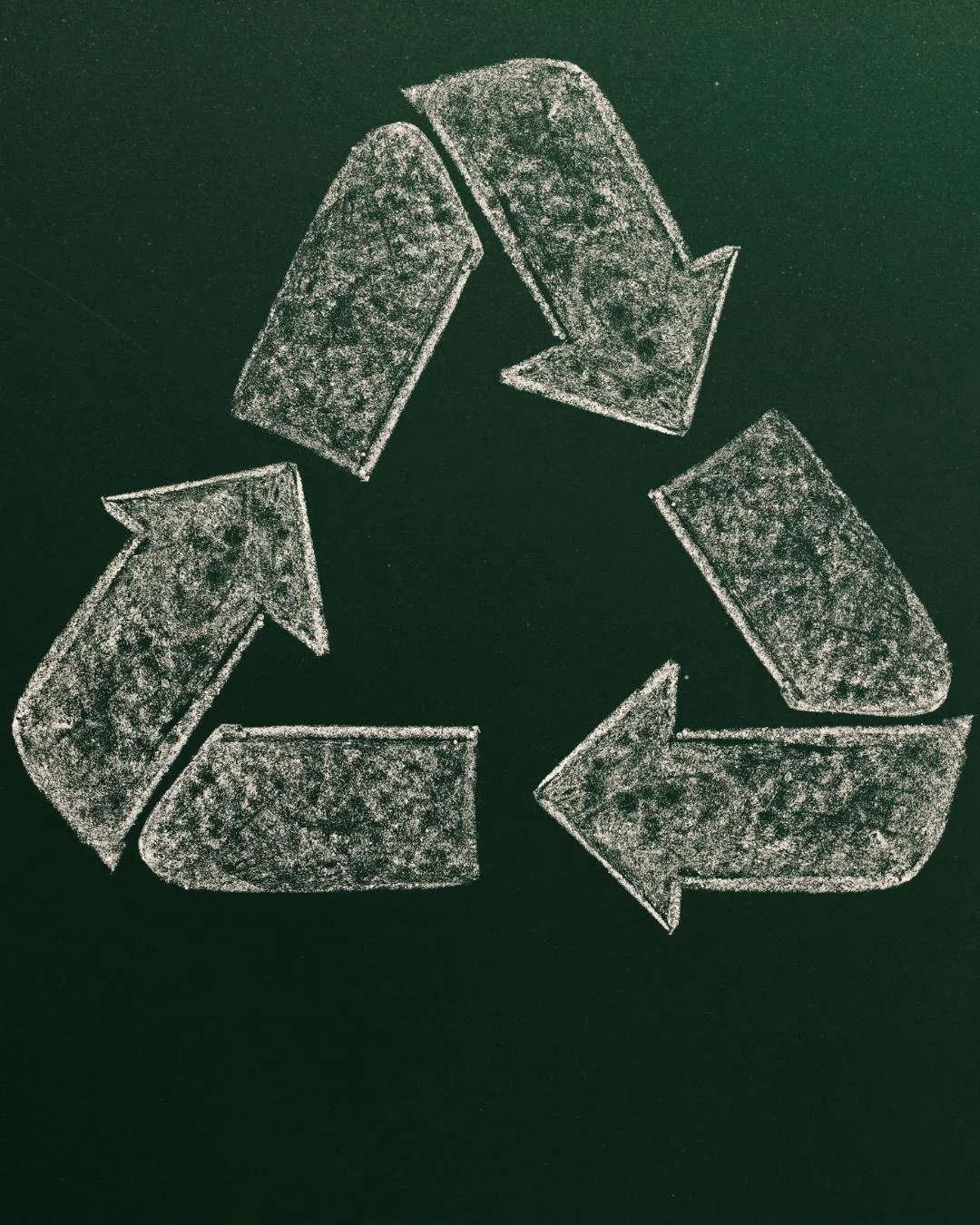 Coluna da SMED: Educação Ambiental — Ação, Consciência e Sensibilização para o Bem-Viver