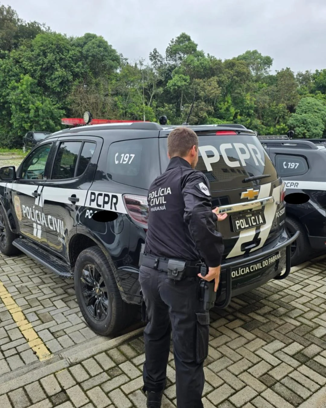 Delegacia da Mulher de Araucária prende homem em flagrante por agressão à companheira