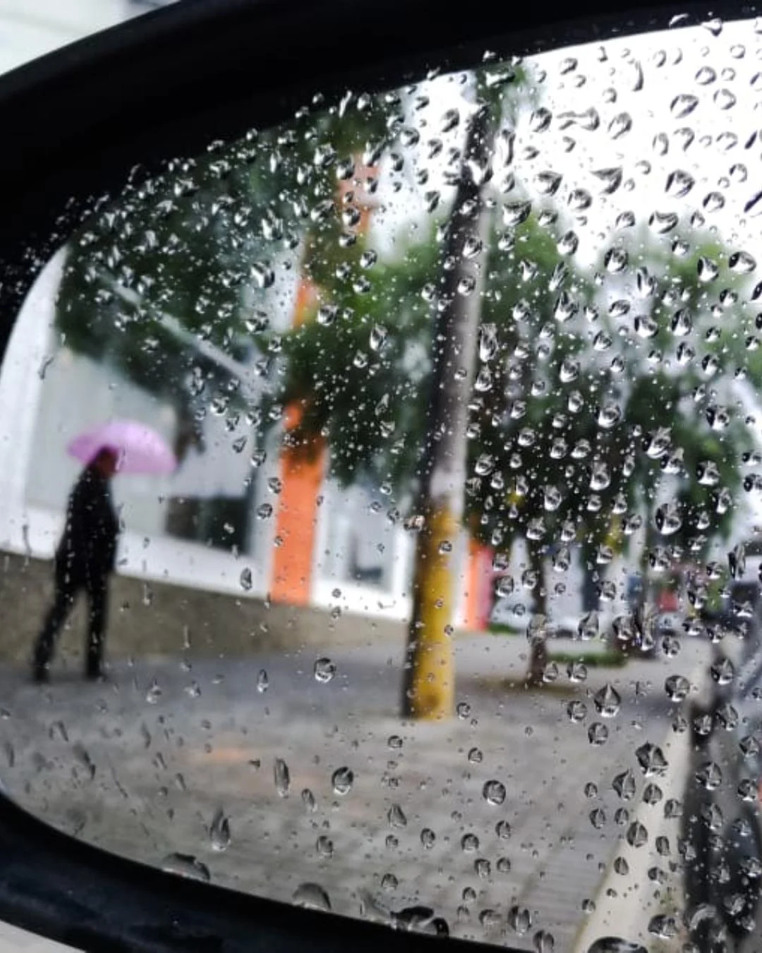 Chuva volta a dar às caras no final de semana e o friozinho continua