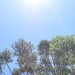 Temperatura pode chegar a máxima de 26°C nesta semana