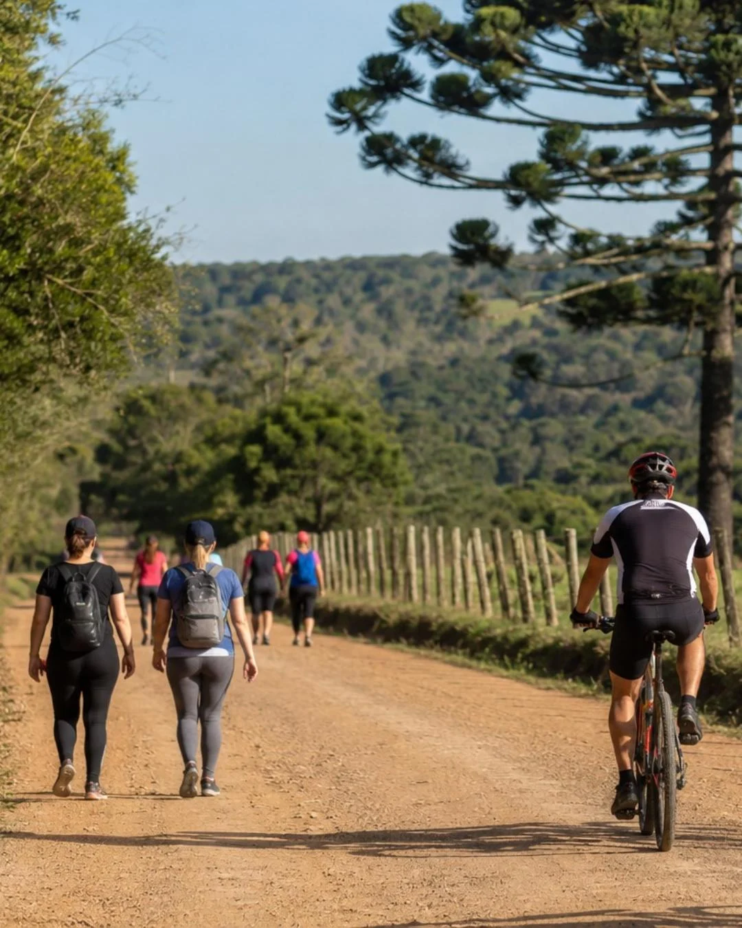 Ainda há vagas para a Caminhada e Pedalada na Natureza deste domingo (14)