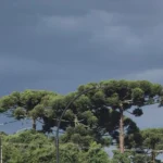 Apesar da previsão de chuva, a temperatura aumentará neste final de semana