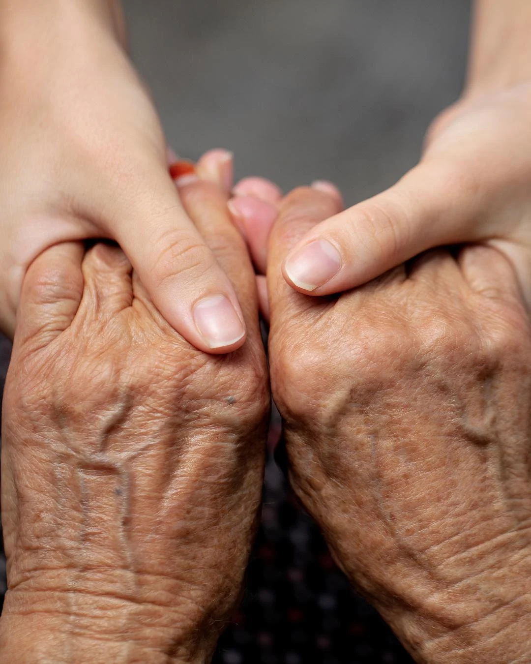 Coluna da SMAS: Junho Violeta — proteger a pessoa idosa é um compromisso de todos