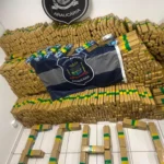 Guarda Municipal faz mega apreensão de drogas e tira das ruas quase 2 toneladas de maconha