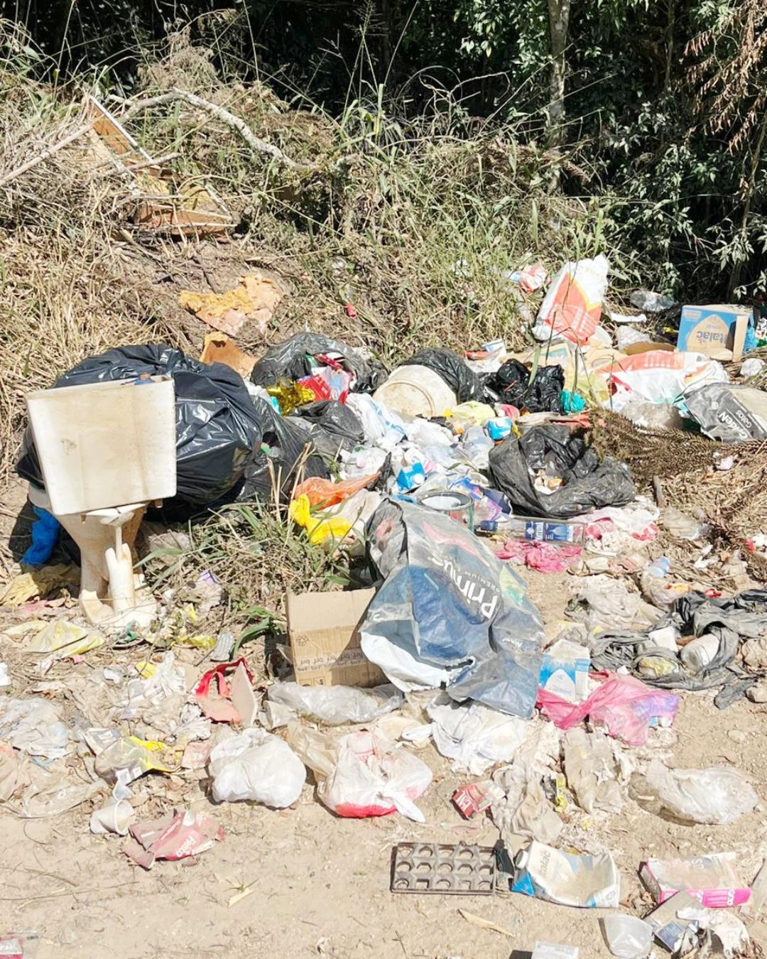 Lixo jogado a céu aberto incomoda moradores na área rural de Palmital
