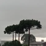 Previsão do tempo informa que a chuva voltará a atingir a cidade nesta semana