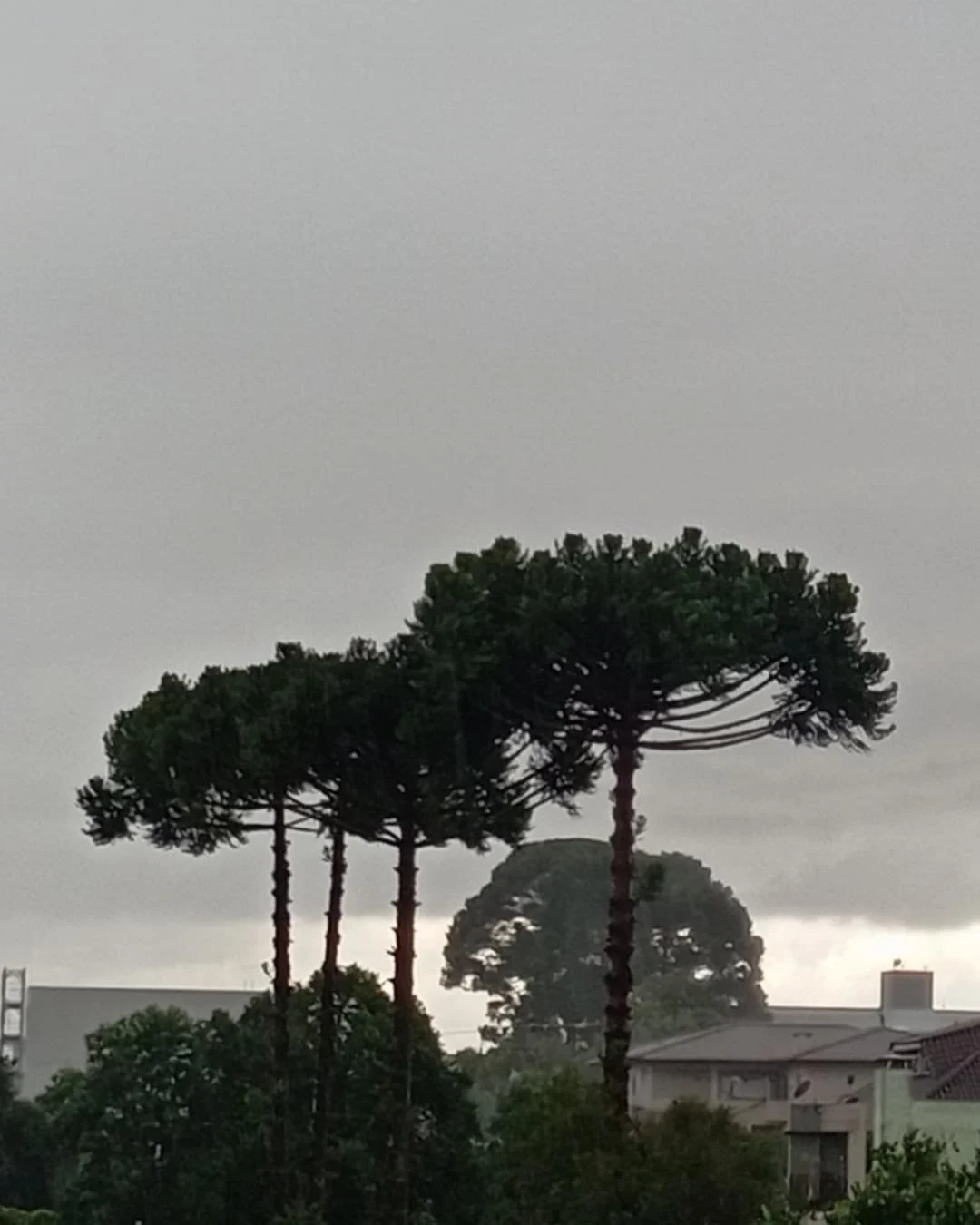 Previsão do tempo informa que a chuva voltará a atingir a cidade nesta semana