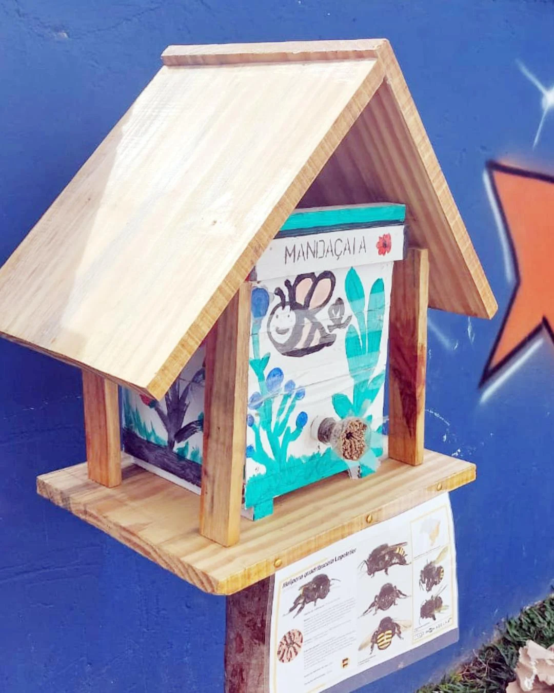 Projeto estimula crianças da Escola Elírio a cuidar do meio ambiente e preservar a vida das abelhas