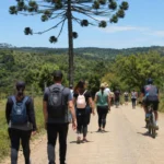18ª Caminhada na Natureza e 2ª Pedalada será no dia 14 de junho em Guajuvira