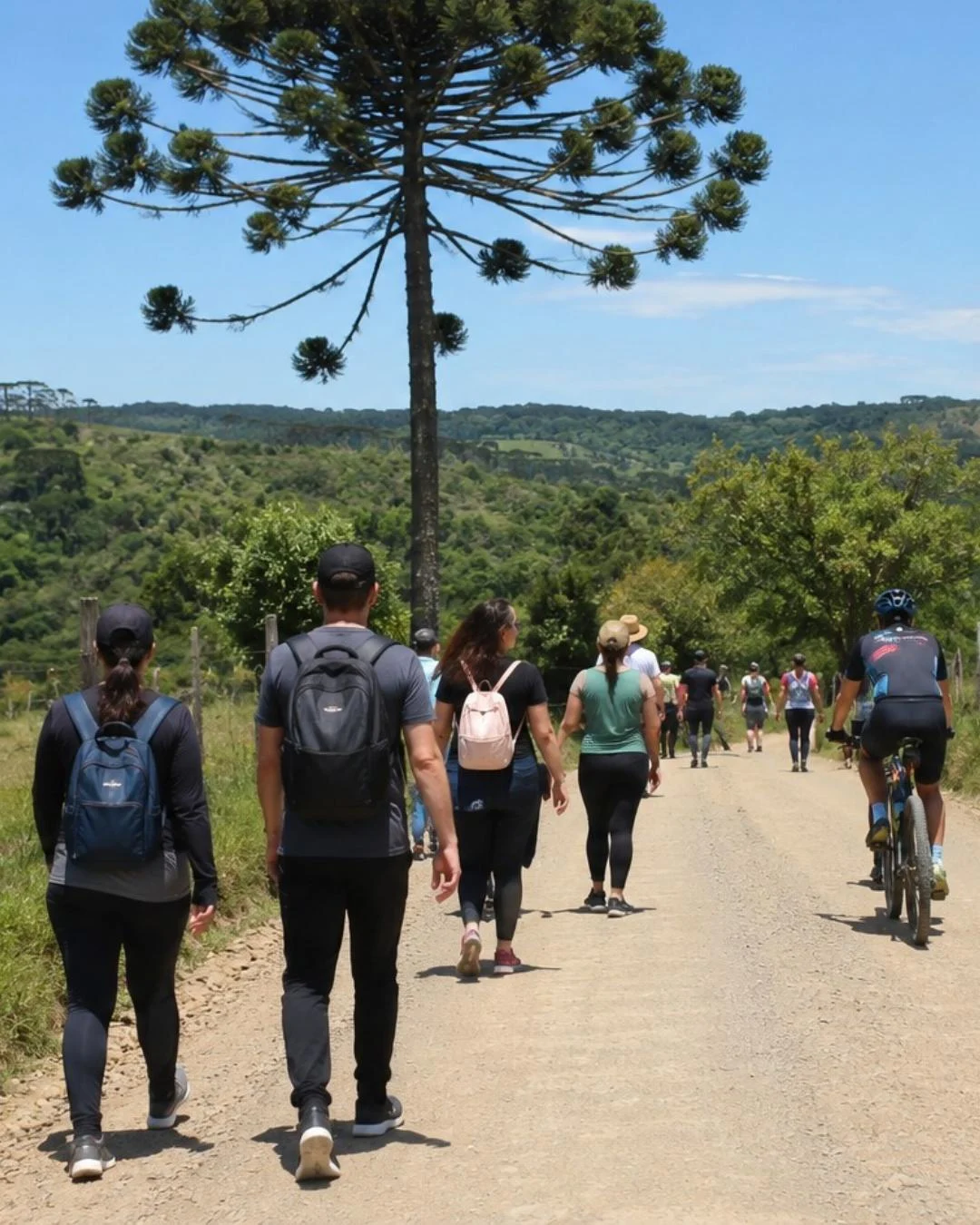 18ª Caminhada na Natureza e 2ª Pedalada será no dia 14 de junho em Guajuvira