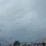 Simepar prevê pancada de chuva para este sábado (20)