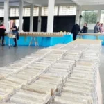 Tradição do Bolo de Santo Antônio mobiliza paróquias em Araucária; veja onde comprar