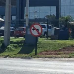 Carta do Editor: Uma questão de adaptação!
