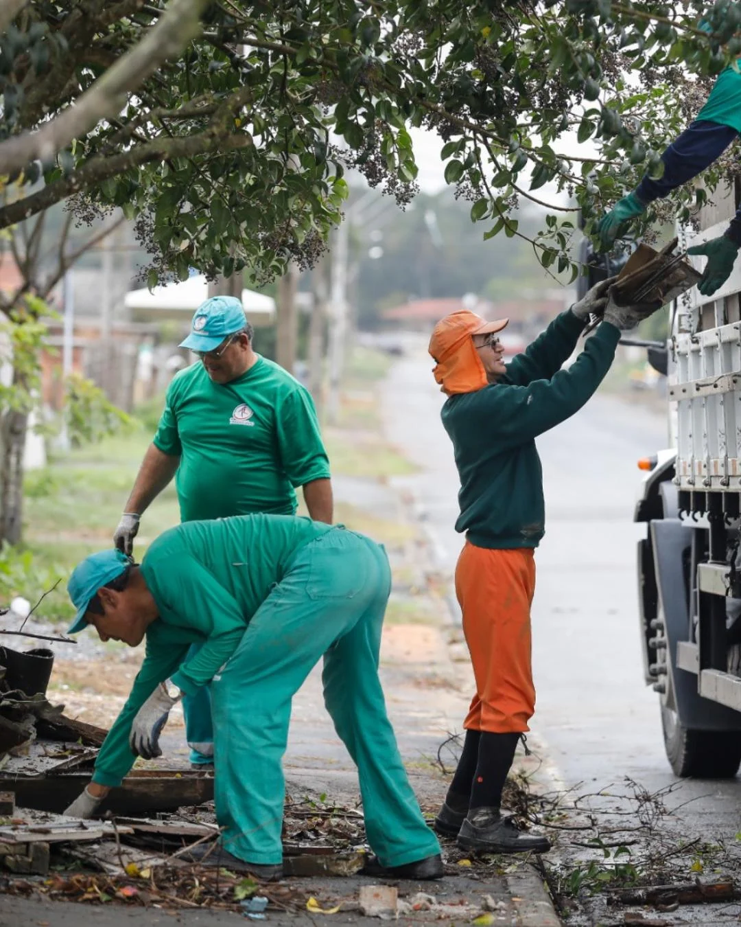 Coleta agendada de volumosos soma mais de 5,6 mil solicitações no 1º semestre de 2026