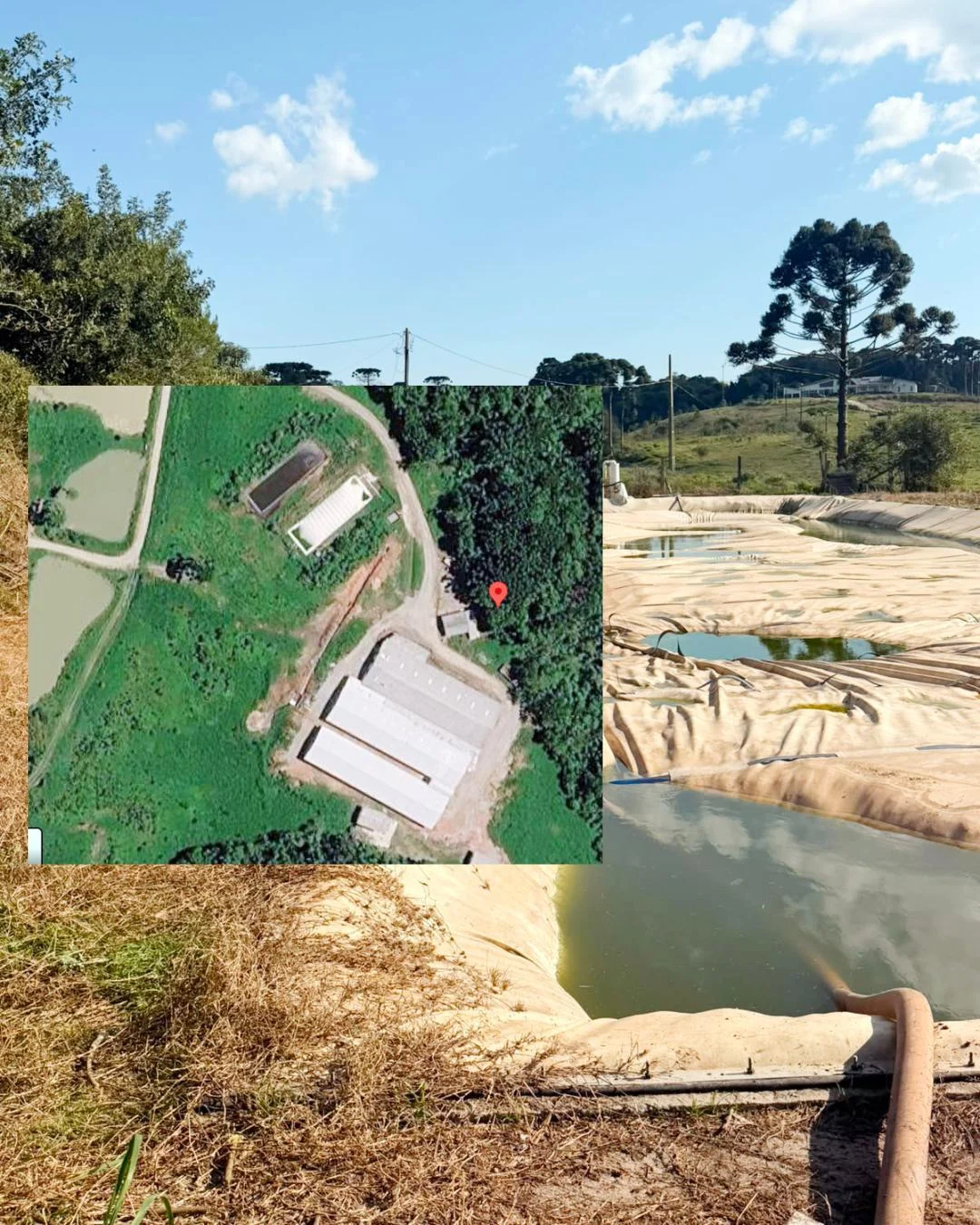 Entenda como funciona um biodigestor rural, onde João teria se afogado