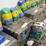 Mais de 4,5 toneladas de drogas são apreendidas em Araucária no primeiro semestre de 2026