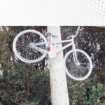 Motorista que atropelou e matou ciclista em 2022 vai a júri popular nesta quinta-feira (02)