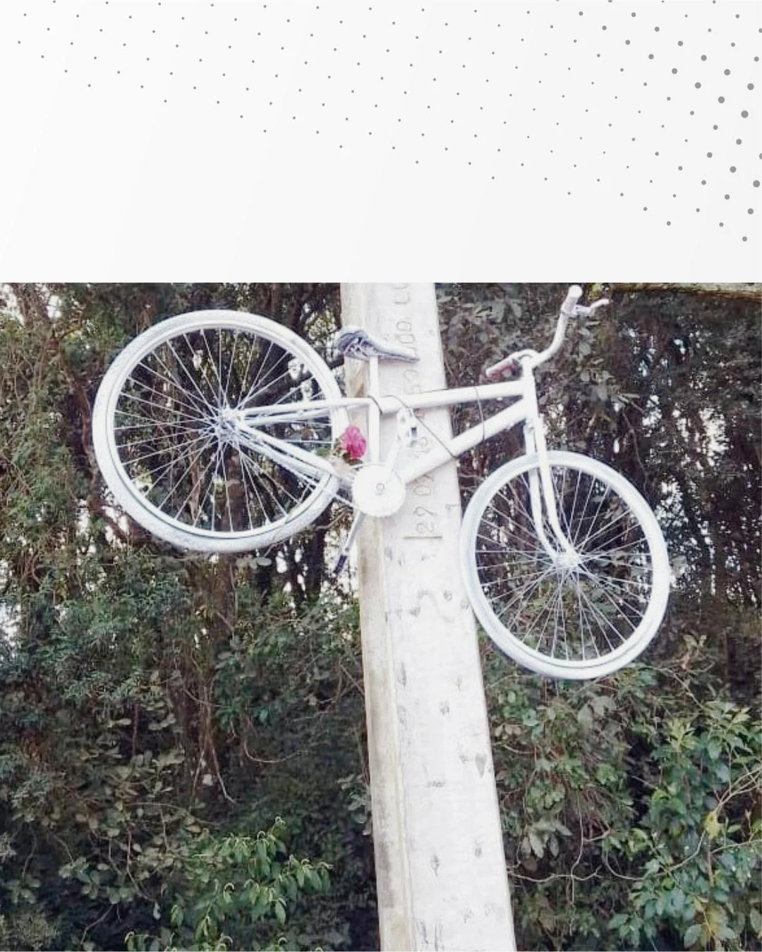 Motorista que atropelou e matou ciclista em 2022 vai a júri popular nesta quinta-feira (02)