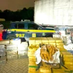 PRF apreende em Araucária mais de duas toneladas de maconha escondidas em carga de papel higiênico