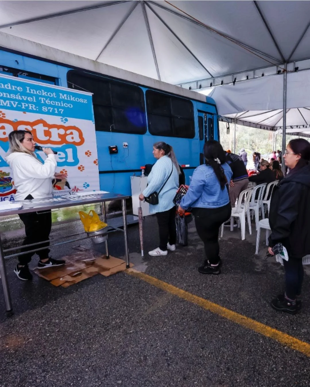 Programa Castração Solidária beneficia 435 animais no mês de julho