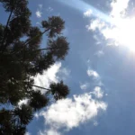 Semana será marcada com céu claro e temperatura podendo atingir 24°C