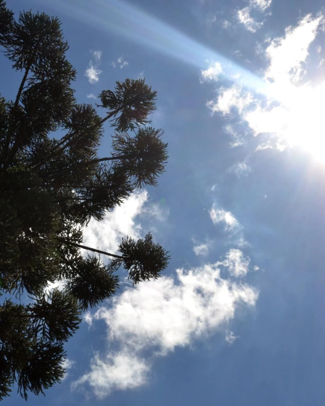 Semana será marcada com céu claro e temperatura podendo atingir 24°C