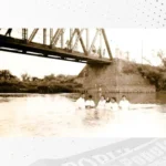 Terezinha Poly: As águas limpas do Rio Iguaçu