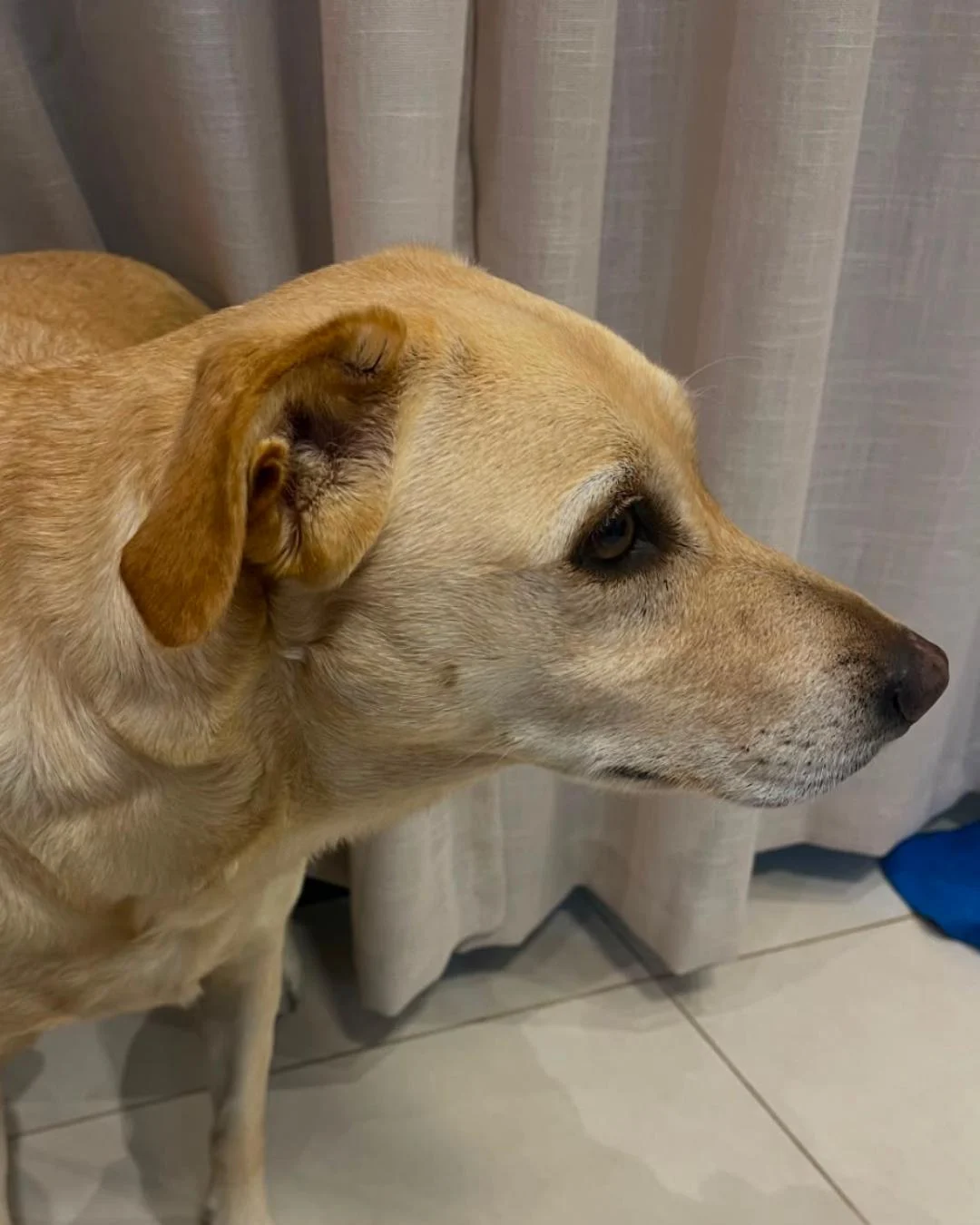 Você viu a Kendra? Família está à sua procura
