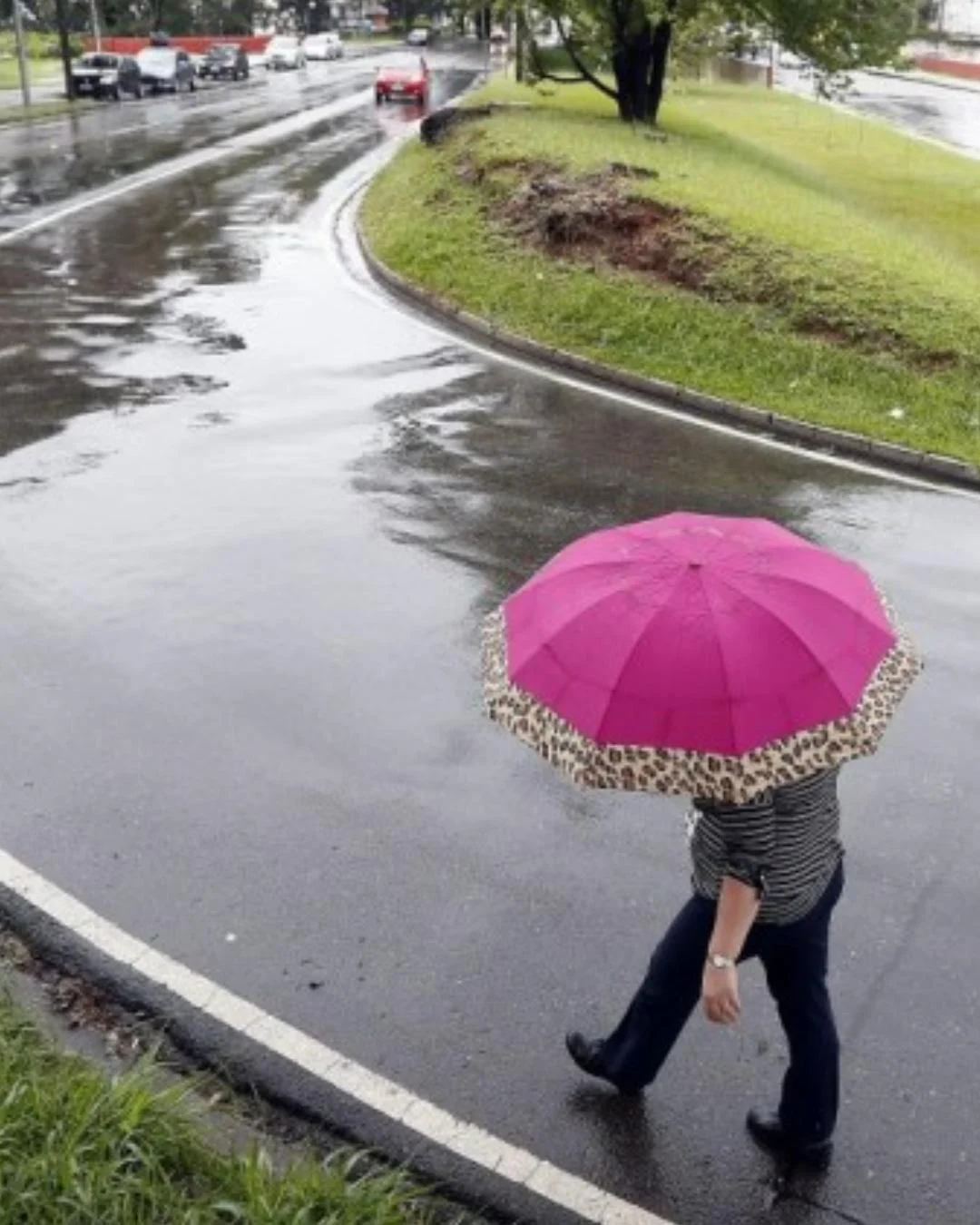 Chuva voltará a dar às caras em Araucária a partir de quarta-feira (5)
