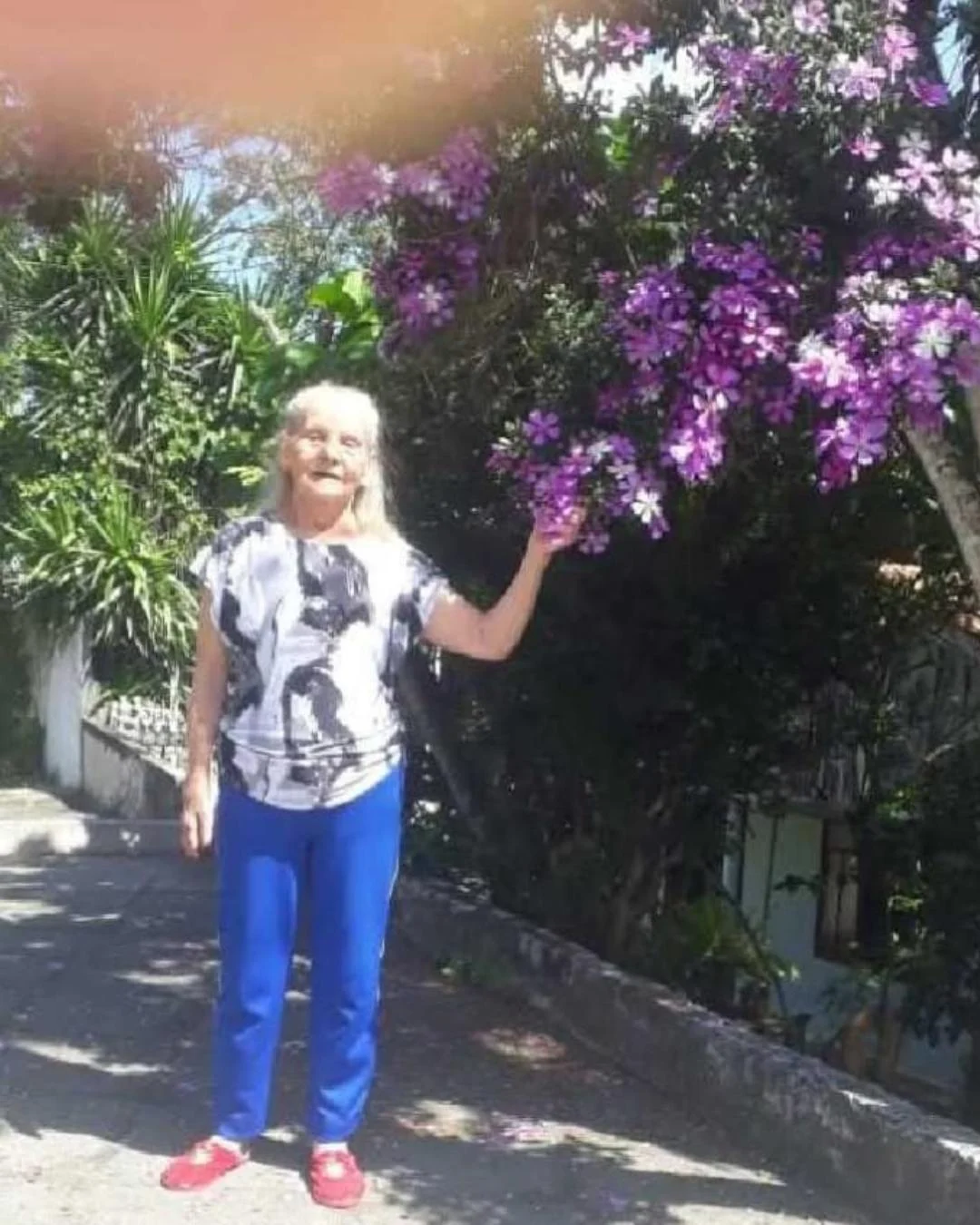 Dona Iraci Norberto deixa saudades entre familiares