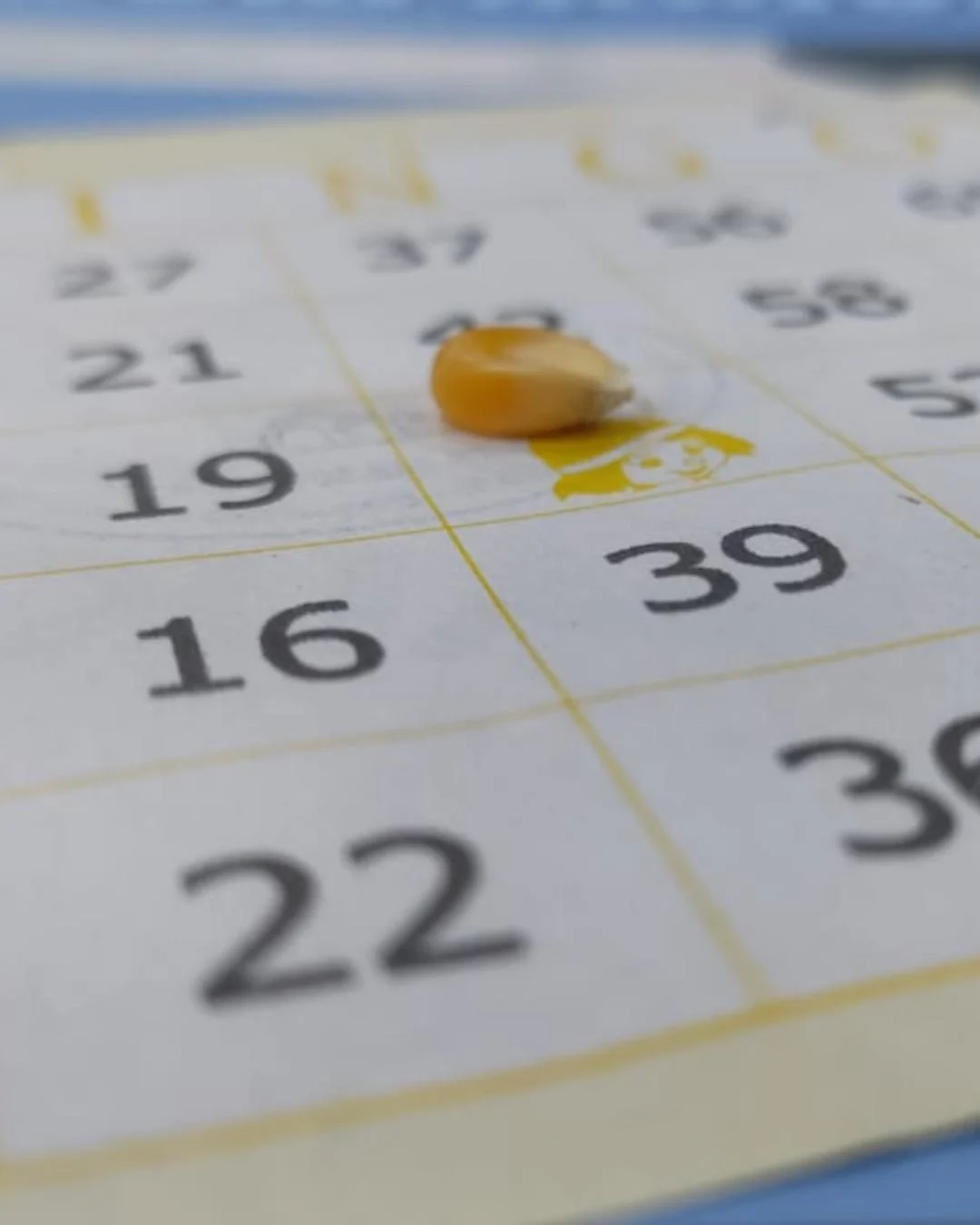 Associação do Jd. Califórnia promove Bingo Beneficente em prol da festa das crianças